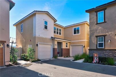 41489 Winterberry Photo